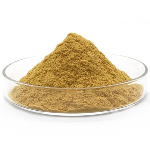 安徽聚合硫酸鐵投加混凝后污泥為何會上浮？